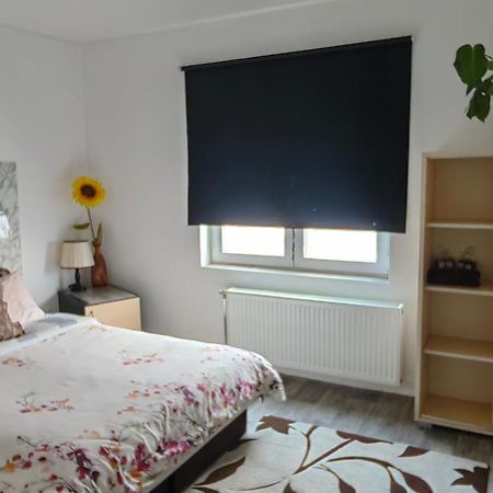 Divlji Raj Apartment Белград Екстериор снимка